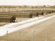 birkenau huts - powerpoint graphics