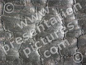 burnt wood - powerpoint graphics