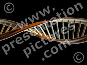 dna - powerpoint graphics