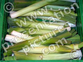 leeks - powerpoint graphics