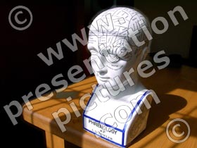 phrenology head - powerpoint graphics