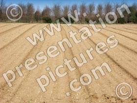 ploughed field - powerpoint graphics