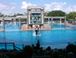 sea world - powerpoint graphics