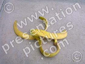 slip up banana - powerpoint graphics