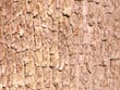 tree bark - powerpoint graphics